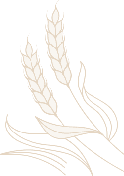 Anchored Chaplain LLC